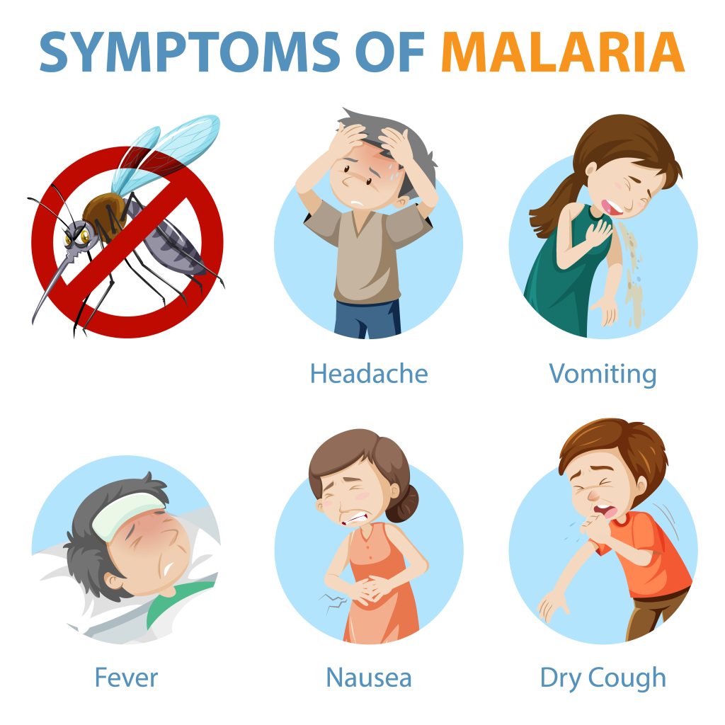 malaria in south africa