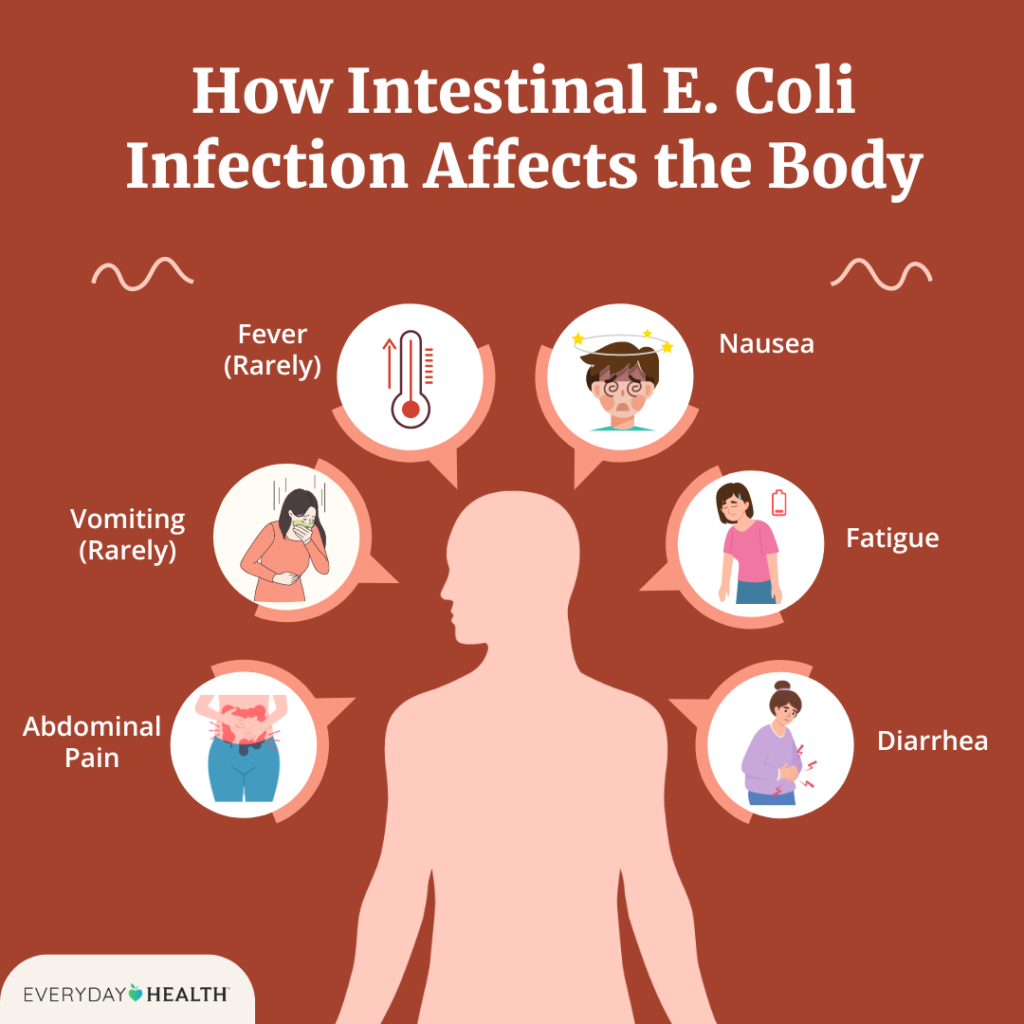 Ecoli Virus Causes