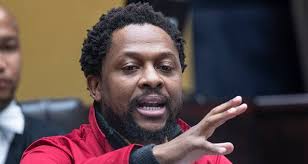 Mbuyiseni Ndlozi Latest News